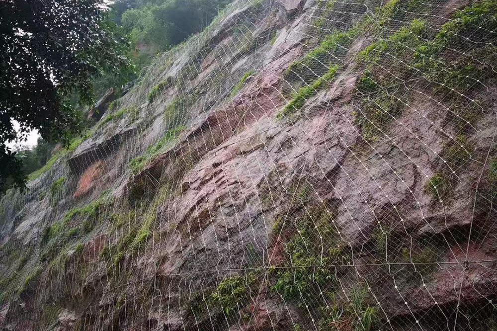 wire mesh slope protection
