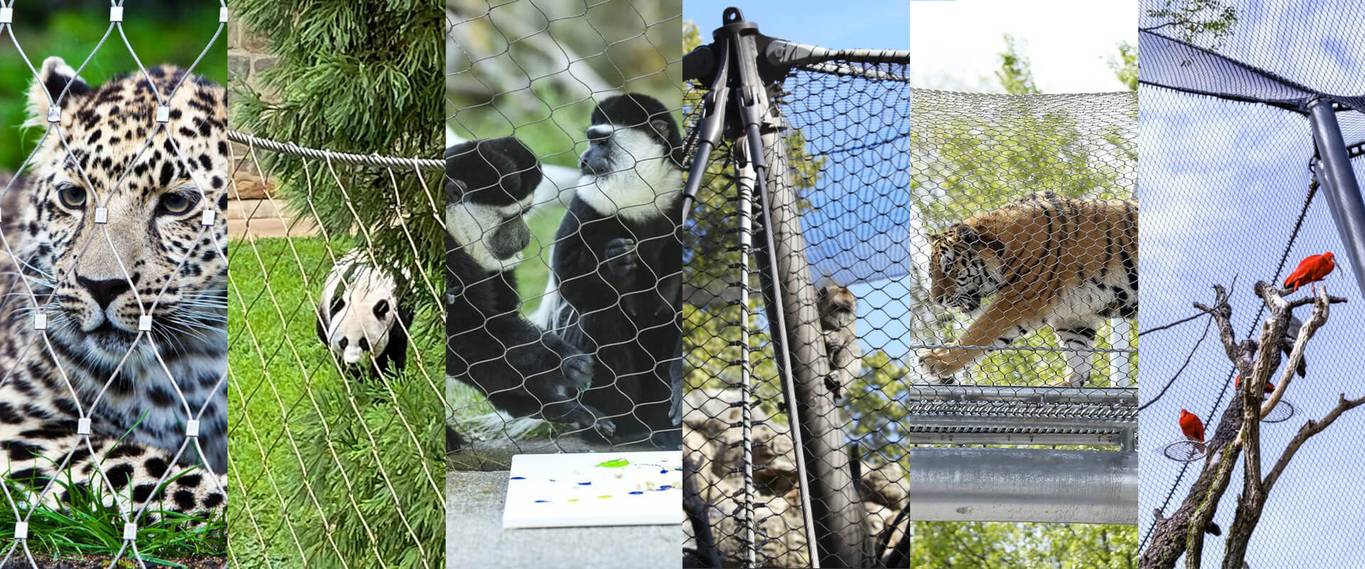 zoom mesh netting